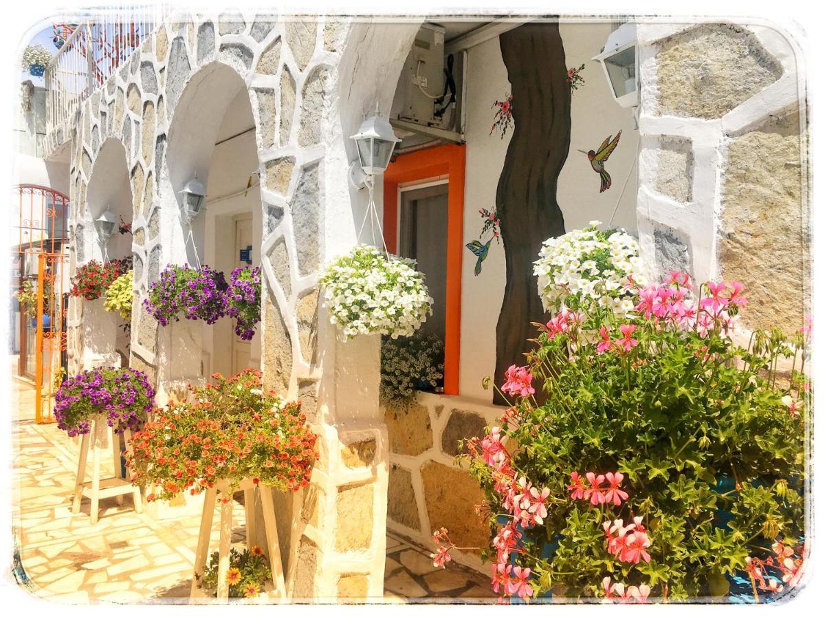 Bodrum Sade Pension Εξωτερικό φωτογραφία