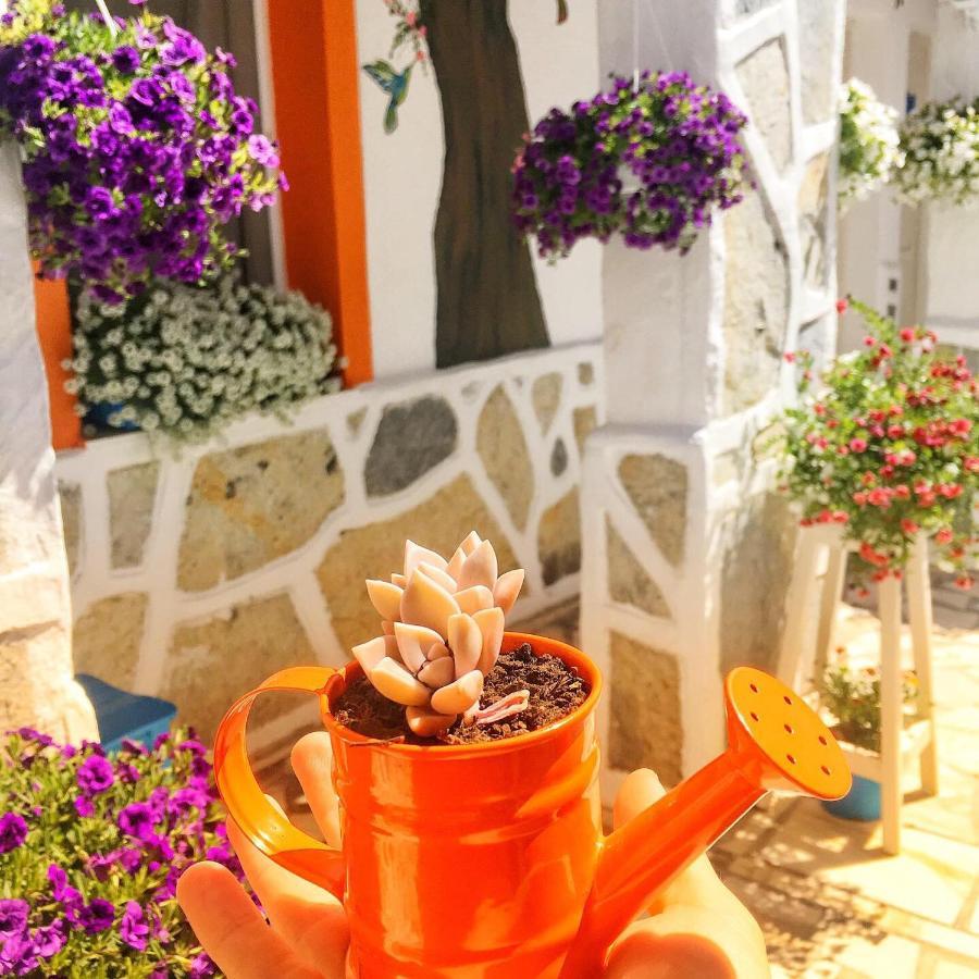 Bodrum Sade Pension Εξωτερικό φωτογραφία