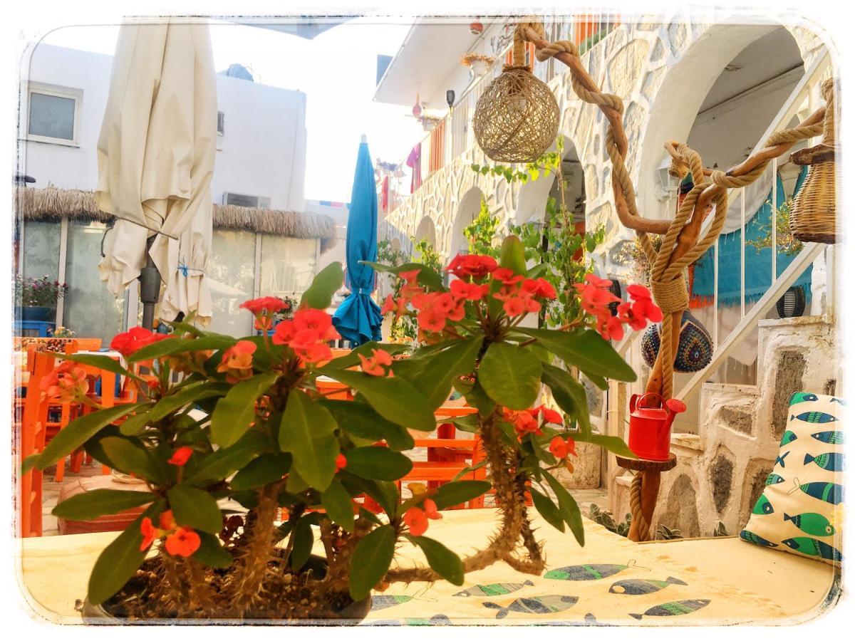 Bodrum Sade Pension Εξωτερικό φωτογραφία