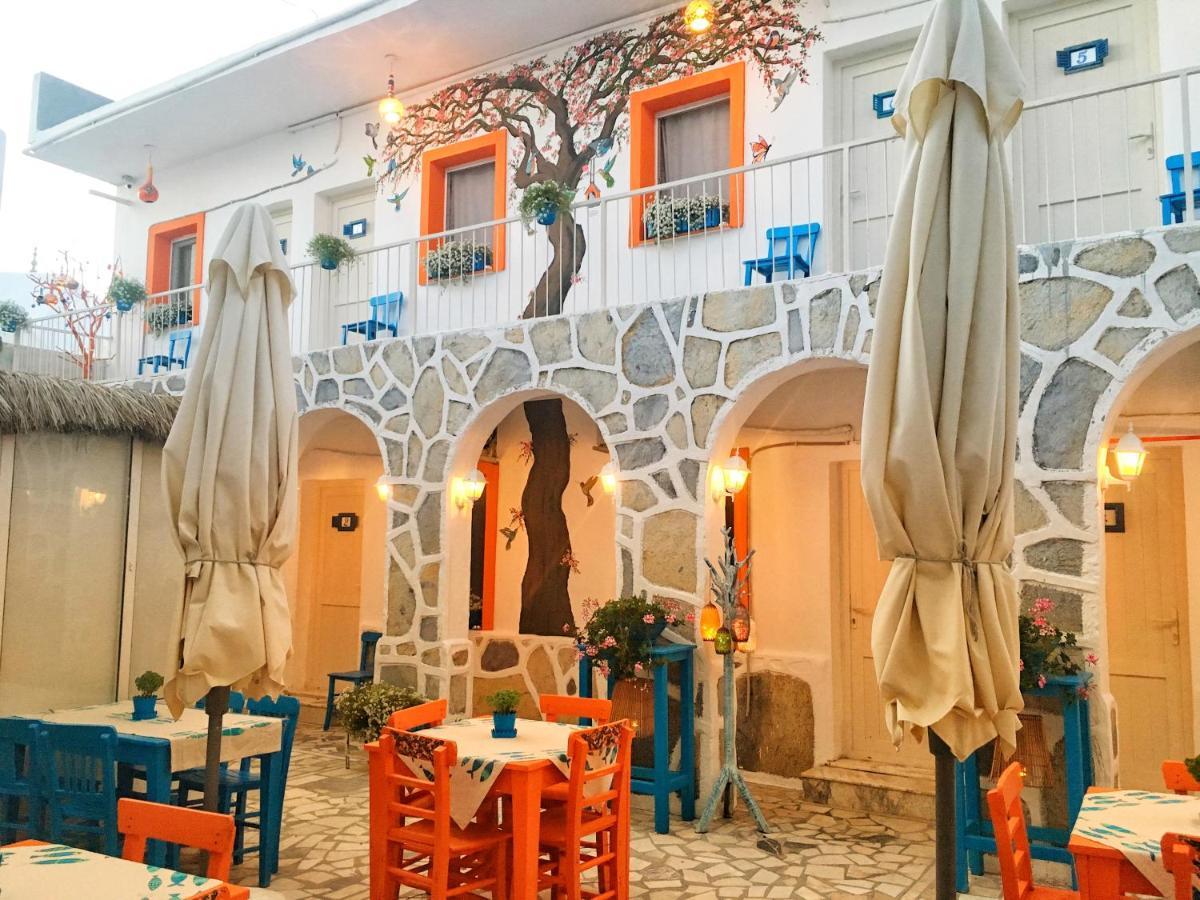 Bodrum Sade Pension Εξωτερικό φωτογραφία