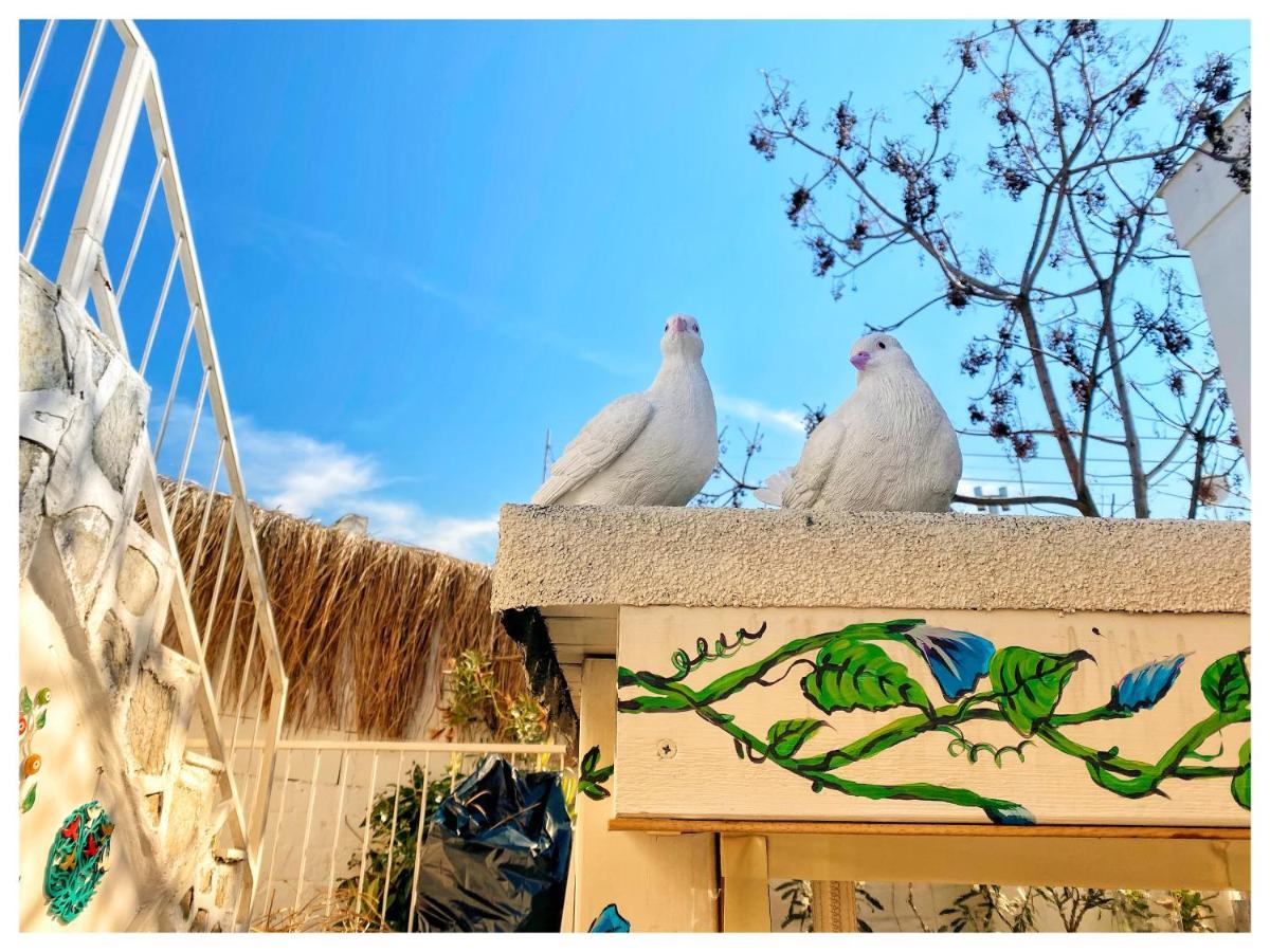 Bodrum Sade Pension Εξωτερικό φωτογραφία