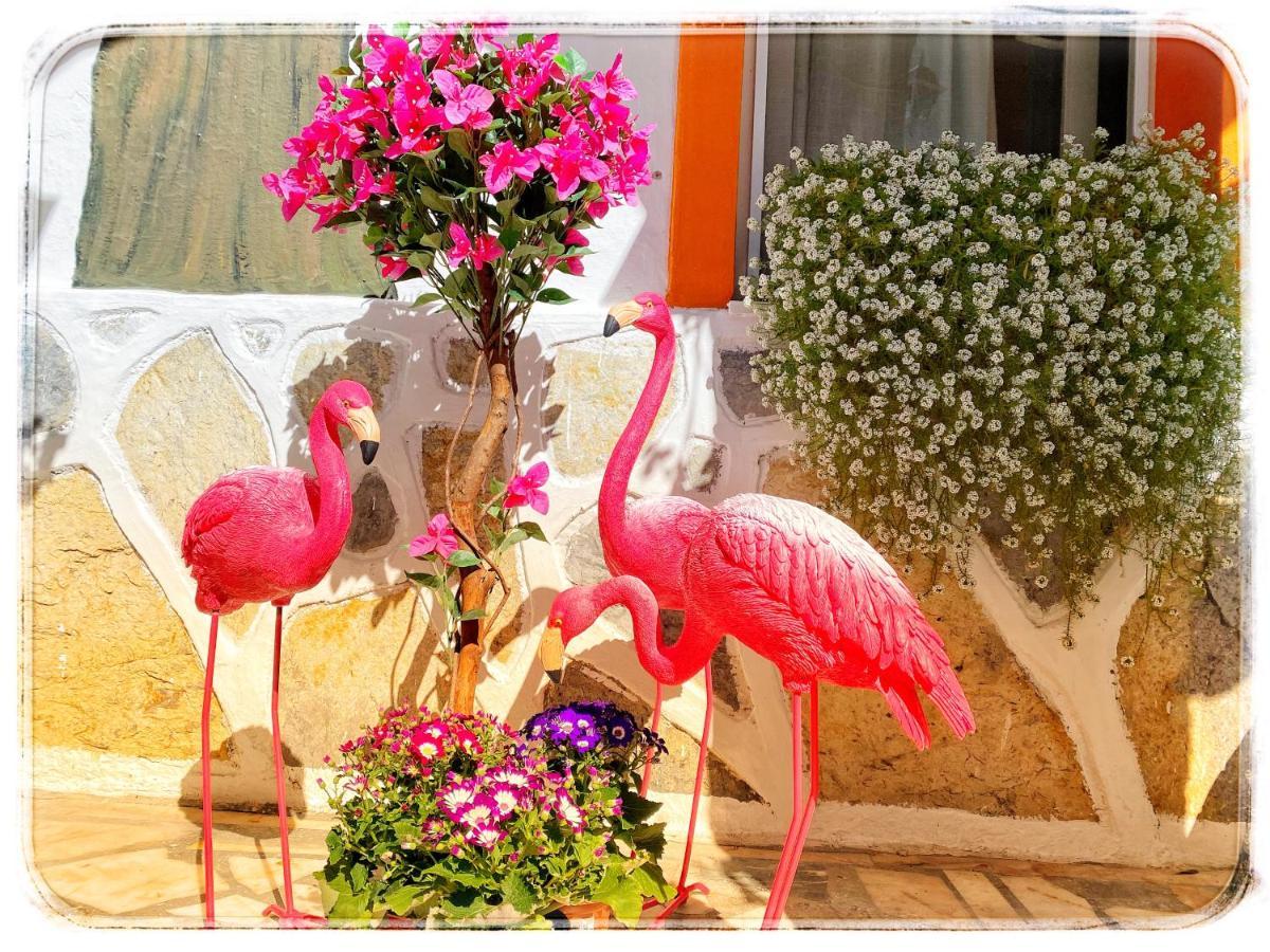 Bodrum Sade Pension Εξωτερικό φωτογραφία